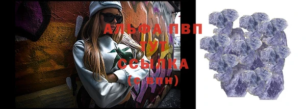 прущие грибы Балахна