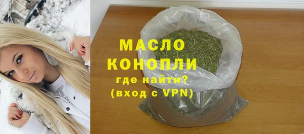 индика Арсеньев