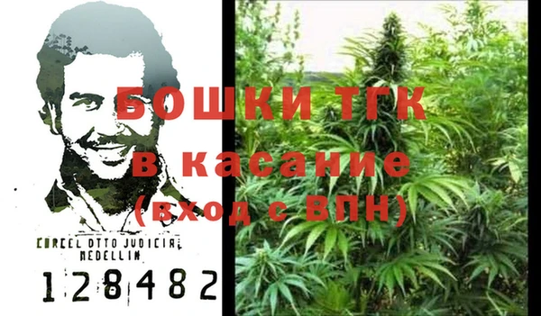 прущие грибы Балахна