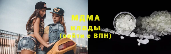 индика Арсеньев