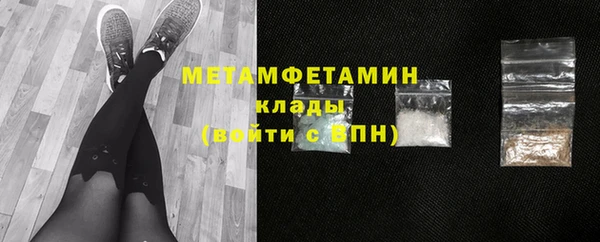 индика Арсеньев