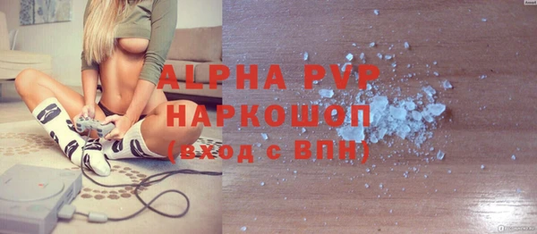 индика Арсеньев